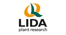LIDA PLANT